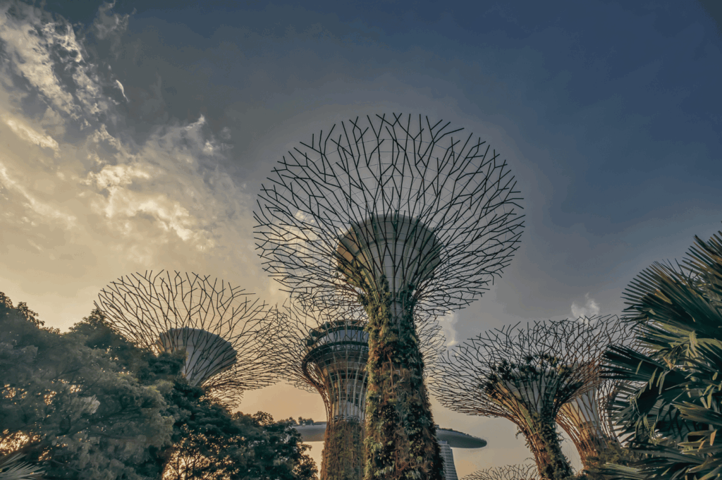 Low-angle view of Supertree Grove at Gardens by the Bay, Singapore, showcasing towering vertical gardens against a dramatic sky. These iconic structures symbolize sustainable design and urban cooling—key inspirations for commercial kitchen ventilation systems adapted to Singapore’s tropical climate.