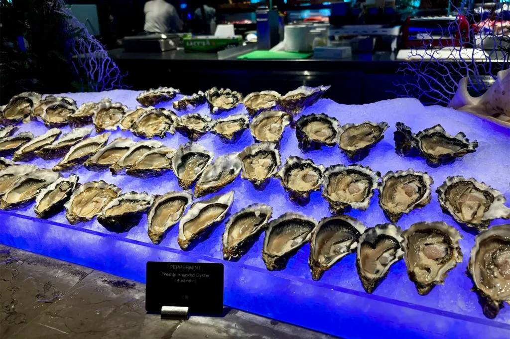 A rows of freshly shucked Australian oysters served on a bed of crushed ice with blue ambient lighting.